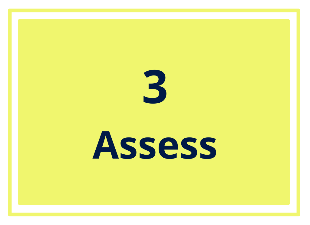 3. Assess